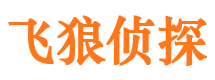 驿城市调查公司